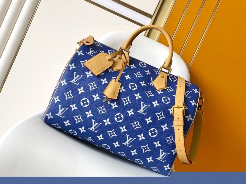 LV Travel Bags